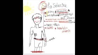 Sulfasalazine adverse effects [upl. by Winnifred]