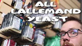 Every Lallemand Yeast and How I would Use Them [upl. by Fallon596]