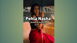 Pehla Nasha Lyrics Udita Narayan Slowed amp Reverb  SM LOFI [upl. by Prent]