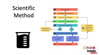 The Scientific Method Steps and Examples [upl. by Warton]