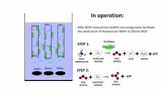 Fixed bed biofilm reactor FBBR  animation only [upl. by Lamphere]