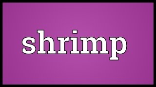 Shrimp Meaning [upl. by Tennaj726]