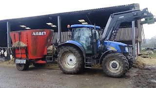 Feeding the Cattle with New Holland amp Abbey Diet Feeder [upl. by Roxanna]