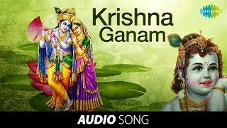 Krishna Ganam  Vol 2  Devotional Jukebox  HD Audio Songs  Lord Krishna Songs  Krishna jayanthi [upl. by Grieve435]