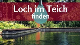 Undichter Teich So findet man einfach das Loch in der Teichfolie [upl. by Omarr]