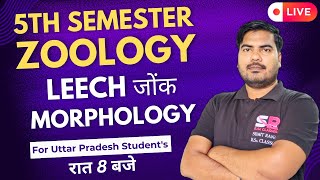 Lt19 Leech Morphology  5th Semester Zoology Paper  01  Sumit Rana Sir [upl. by Avat]