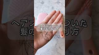 ヘアブラシの簡単お手入れ！髪の毛を一瞬で取る方法 [upl. by Cheadle]