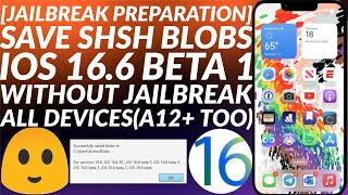 Save SHSH blobs for iOS 166 beta 1 for future downgradeupgrade for upcoming Jailbreak  Easy Guide [upl. by Virgilio]