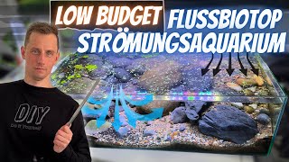 Flussbiotop  STRÖMUNGSAQUARIUM ganz einfach SELBST BAUEN [upl. by Iroak594]