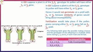 Self Incompatibility [upl. by Tamarah720]