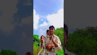 दम है तो हंसी रोक के दिखाओ comedy ytshorts shortfeed surajroxfunnyvibeo shorts funny [upl. by Asirak879]