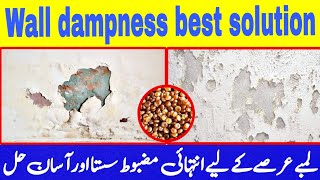 wall seepage solution  wall dampness treatment [upl. by Nwahsud]