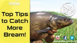 Bream fishing tips Learn how to mix groundbait and catch on the feeder [upl. by Joab]