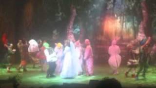 shrek the musical Im a believerhebrewשרק המחזמר אני מאמין בה [upl. by Hedgcock]