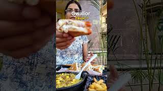 Gwalior Street Food Journey MustTry Delicacies 🌮🍲 streetfood healingbee [upl. by Yroj588]