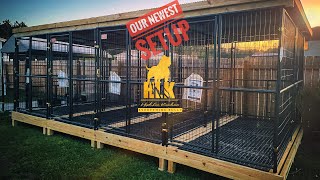 The Outdoor Dog Kennel Setup that Just Keeps Getting Better The Build and Setup  North Carolina [upl. by Ihteerp685]