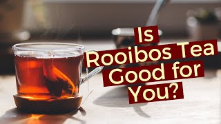 Pure Rooibos Red Tea Benefits  Is Rooibos Tea Good for You [upl. by Sheilah]