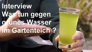 Grünes Wasser im Gartenteich  Hintergrundwissen zum Thema quotGrüner Gartenteichquot  Video [upl. by Hsiri]