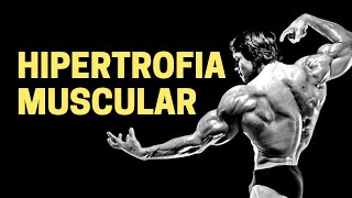 Fisiologia da Hipertrofia muscular  Fisiologia Humana [upl. by Anilra]