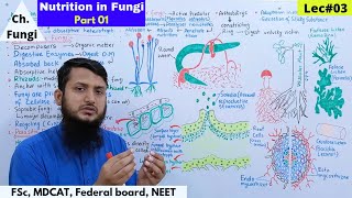 Nutrition in Fungi  Saprotrophs parasites and predator fungi  class 11 [upl. by Tobit]