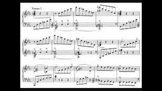 Clara Schumann Scherzo n 2 in C minor op 14 1841 [upl. by Irmina730]