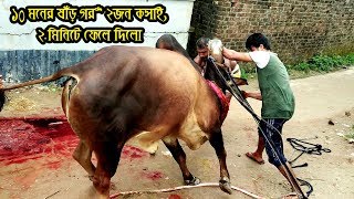 Huge Kurbani cow Done by Professional Butcher  2018 Kurbani Eid [upl. by Adur757]