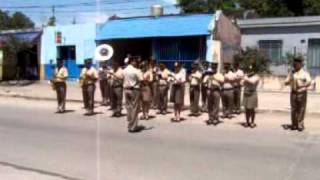 Desfile Gendarmería Nacional Argentina [upl. by Yltsew878]