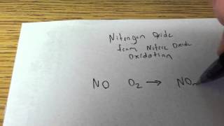 Nitric Oxide Oxidation into Nitrogen Dioxide [upl. by Razaile978]