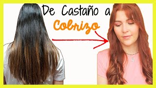 Cómo PINTAR el cabello COBRIZO💆‍♀️ SIN DECOLORAR 👩‍🦰 [upl. by Pollyanna302]