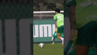 FELIPE ANDERSON FAZ GOLAÇO NO TREINO DO PALMEIRAS [upl. by Ashlan]