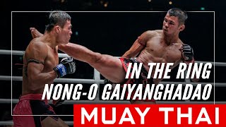 In The Ring With NongO Gaiyanghadao  Evolve MMA [upl. by Leummas]