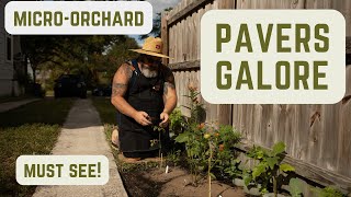 New Pavers  MicroOrchard garden [upl. by Xam]