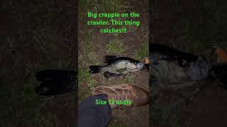 Nice size crappie on the top water crawler 🎣🎣🎣🎣🎣🎣🎣 [upl. by Conah]