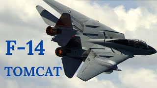 F 14 Tomcat [upl. by Marti]