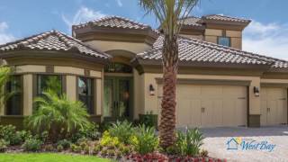 Homes by WestBay Biscayne at Innisbrook [upl. by Pollerd]