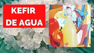 TIBICOS  Cómo deshidratarlos y rehidratarlos KEFIR DE AGUA [upl. by Tomaso]