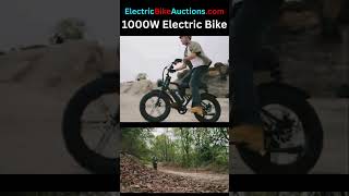 1000W Electric Bike [upl. by Rimat287]