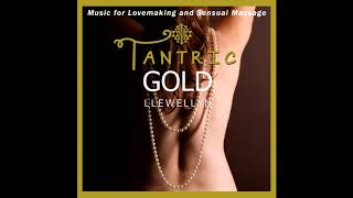 Tantric Gold  Llewellyn  Preview full album [upl. by Nilya]