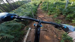 Back Wood mountain biking [upl. by Dal]