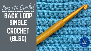 How to Back Loop Only Single Crochet  SLOW INSTRUCTIONS  Back Loop Single Crochet Stitch [upl. by Zug531]