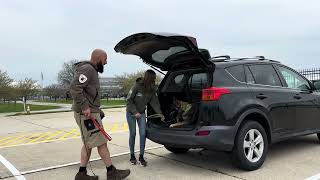 Aria Von Hamundr at 13 mo old Vehicle Agitation training Powerful German Shepherd female [upl. by Ronnholm]