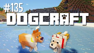 Arctic Foxcraft  Dogcraft Ep135 [upl. by Ynar899]