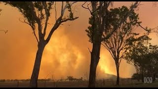 Town of Gracemere saved by firefighters [upl. by Asilim]