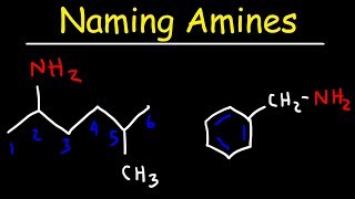 Naming Amines  IUPAC Nomenclature amp Common Names [upl. by Phene551]