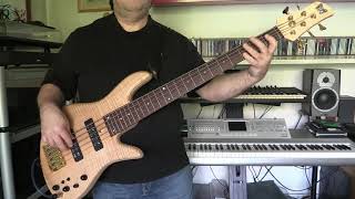 Bass Cover  Steven Wilson  Personal Shopper  with Fodera Emperor 5 and Sadowsky MK1 basses [upl. by Tatianas146]