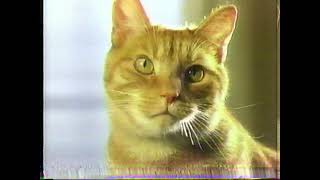 Friskies  Retro TV Commercials  1999 [upl. by Airakaz]