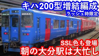 【朝の大分駅は大忙し！】JR九州ラッシュ時限定キハ200キハ220系増結編成 大分駅到着発車シーン【シーサイドライナー色も登場】 [upl. by Grunenwald715]