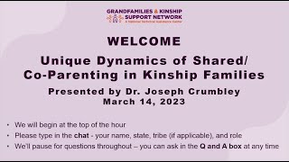 The Unique Dynamics of SharedCoParenting in Kinship Families [upl. by Lamrej562]