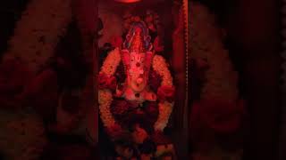 Gauri Ganesha habbada shubhashayagalu 2024 [upl. by Aicitel]