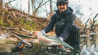 Fall Steelhead Spey Fishing 2022  GRABS  RUNS [upl. by Rowley]